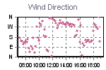 Wind Direction Thumbnail